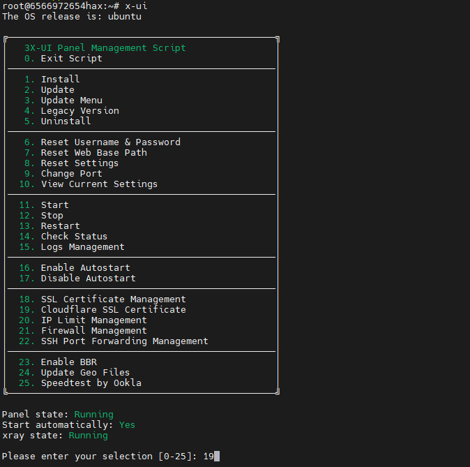 在 IPv6 VPS 上为 3X-UI 面板安装 SSL 证书