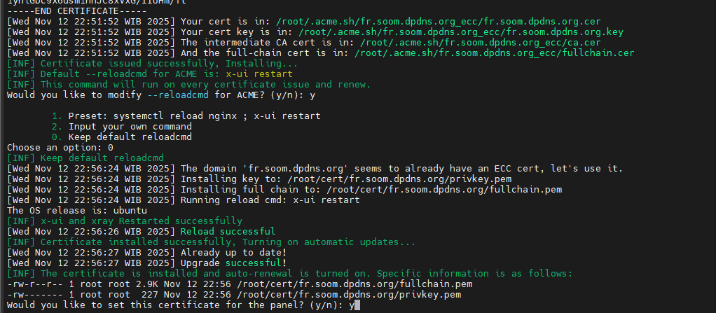 在 IPv6 VPS 上为 3X-UI 面板安装 SSL 证书